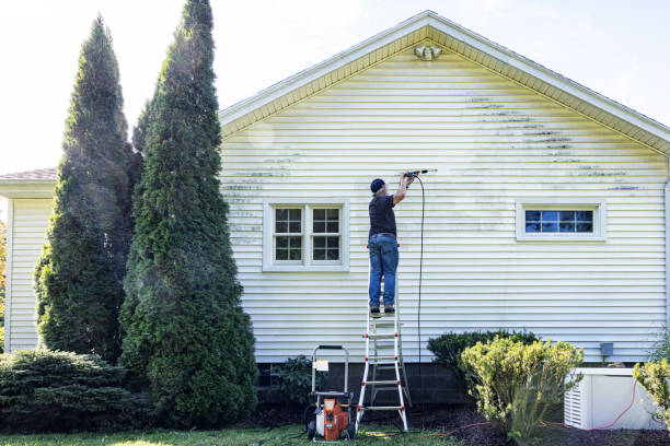 Brick and Stone Cleaning